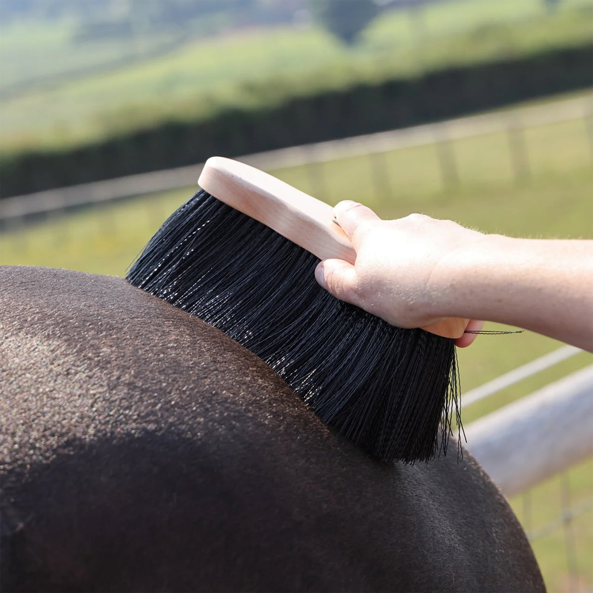 Shires 1490 Ezi-Groom Spazzola Dandy A Pelo Lungo Per Cavalli, Setole Da 7,5 Cm, Rosa Fluorescente, Taglia Grande