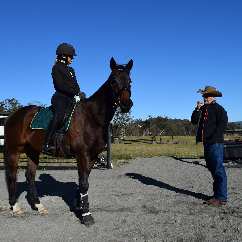 Perfecting Bit Fit for OTTBs: Specialized Session at Dungog Dressage Club