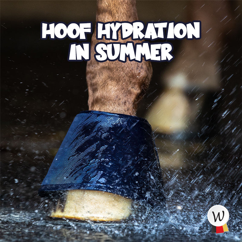 Hoof Hydration In Summer