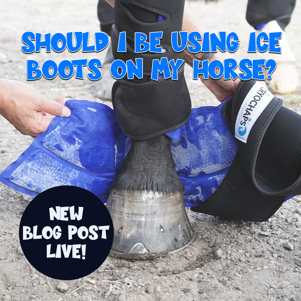 Should I be using Ice Boots on my Horse?